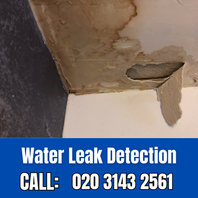 Expert Water Leak Detection Services in Palmers Green | Palmers Green Leak Detection